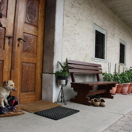 Family Apartment On Repecnik Farm In Gorje, Bled زغورنجي المظهر الخارجي الصورة