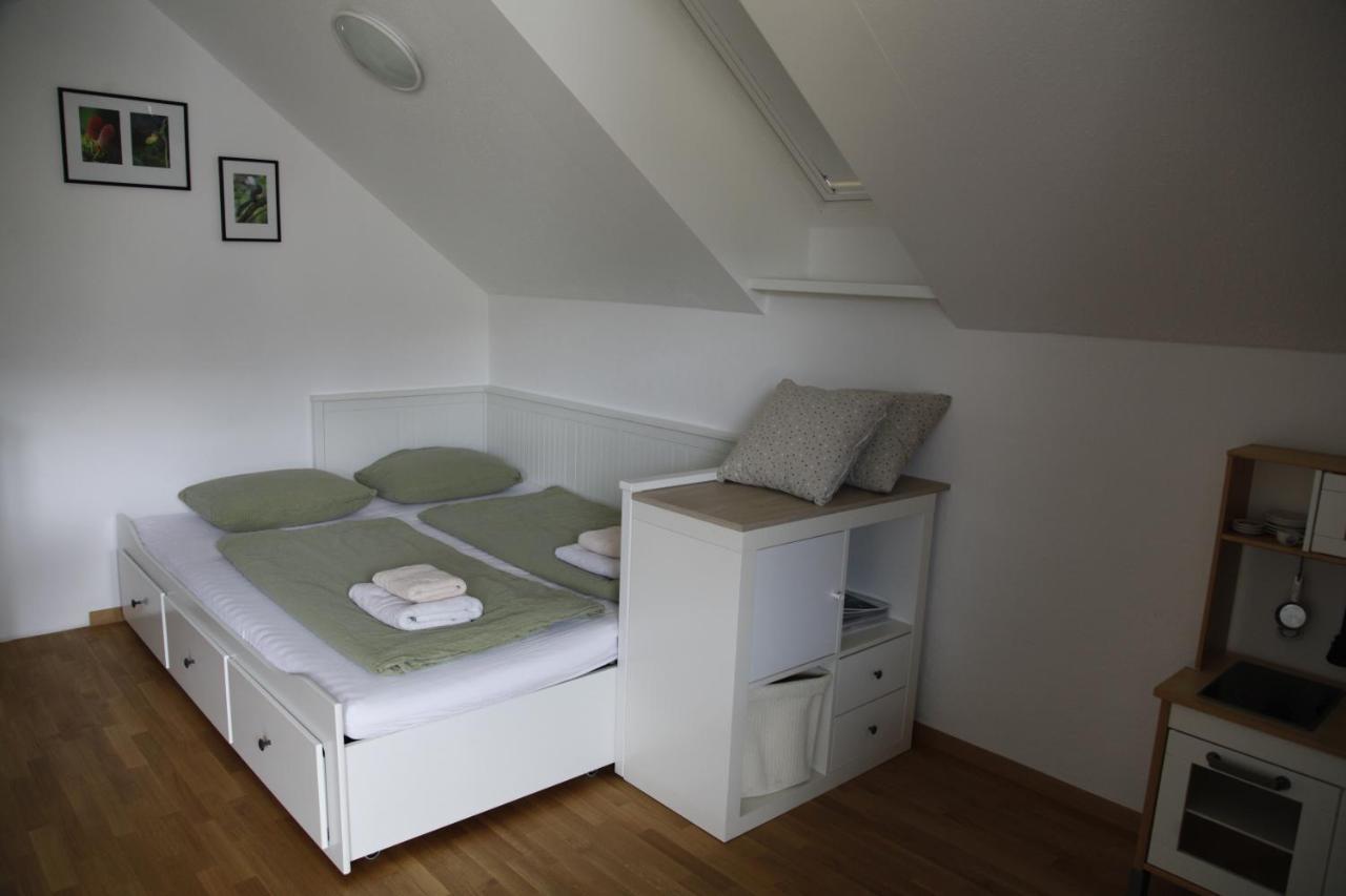 Family Apartment On Repecnik Farm In Gorje, Bled زغورنجي المظهر الخارجي الصورة